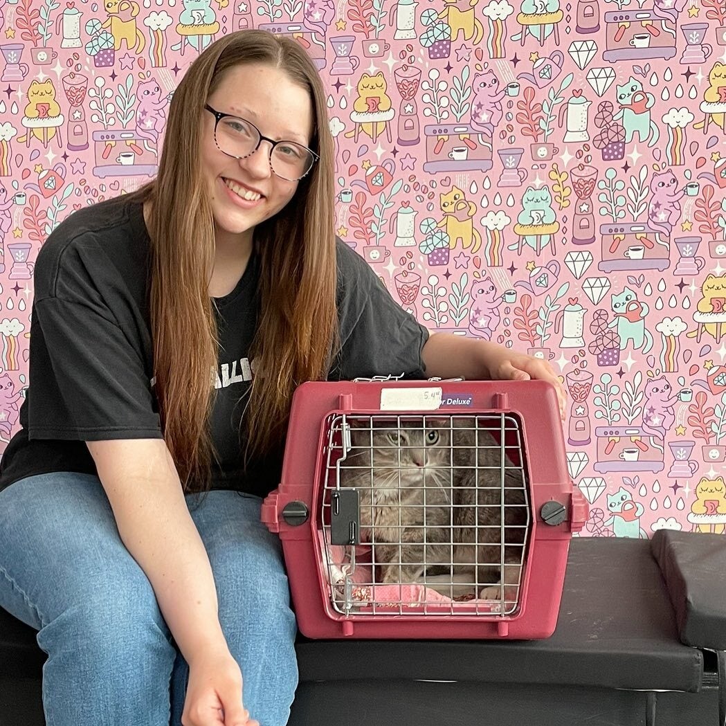 Grand Rapids Coffee Shop and Cat Cafe Lounge Gifts Happy Cat Cafe